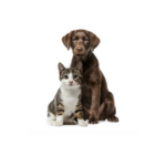 Veterinary & Pet Care