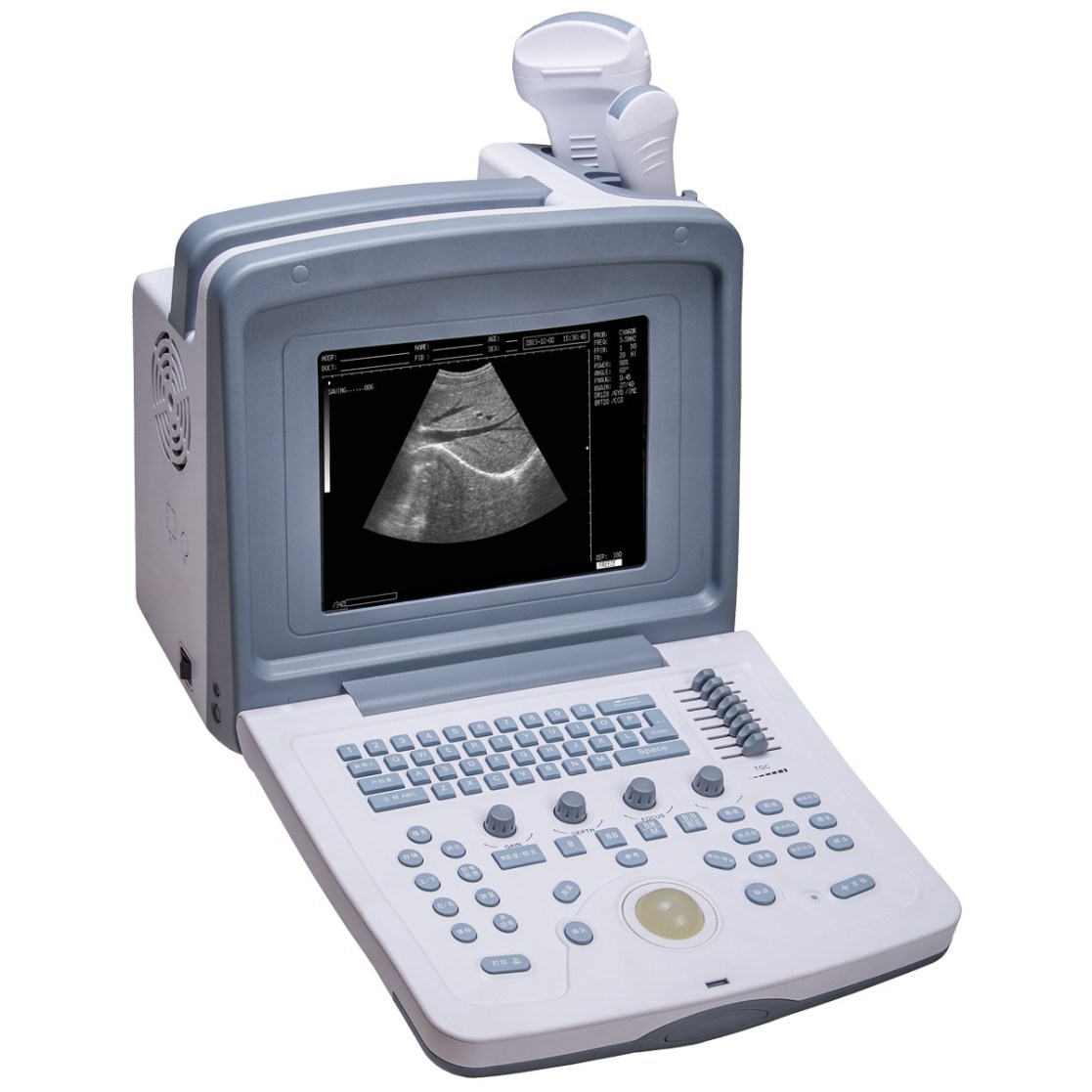 Ultrasound Wed9618 Vet Black And White