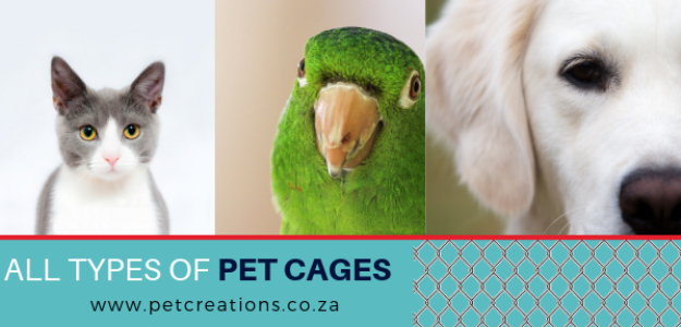 Pet Creations
