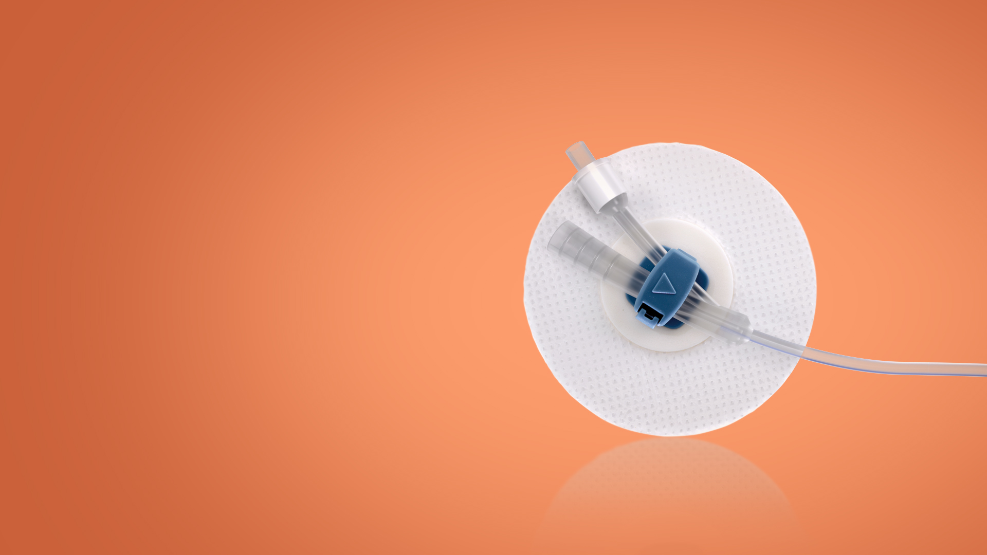Catheter Clip