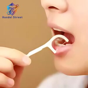Dental Flosser