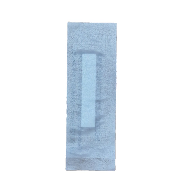 Crosstex- Traditional Spore Strips - G. Stearothermophilus (Cell Line 7953) (Bs-106) - Image 2