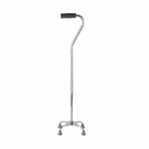 Mx Walking Stick Quad