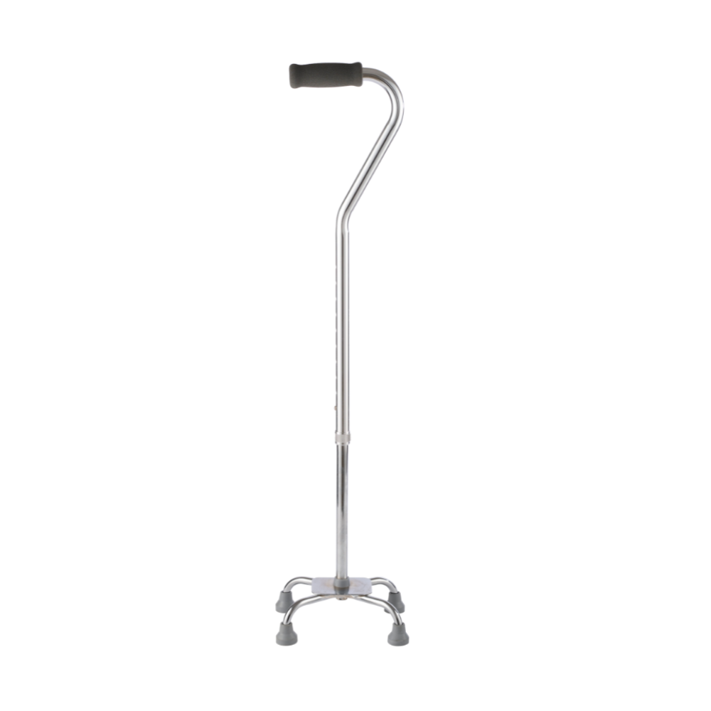 Mx Walking Stick Quad - Image 2