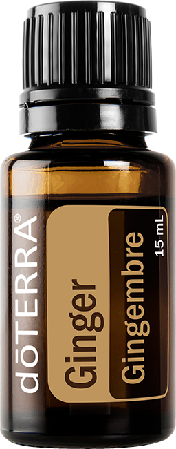 Ginger 15 ml
