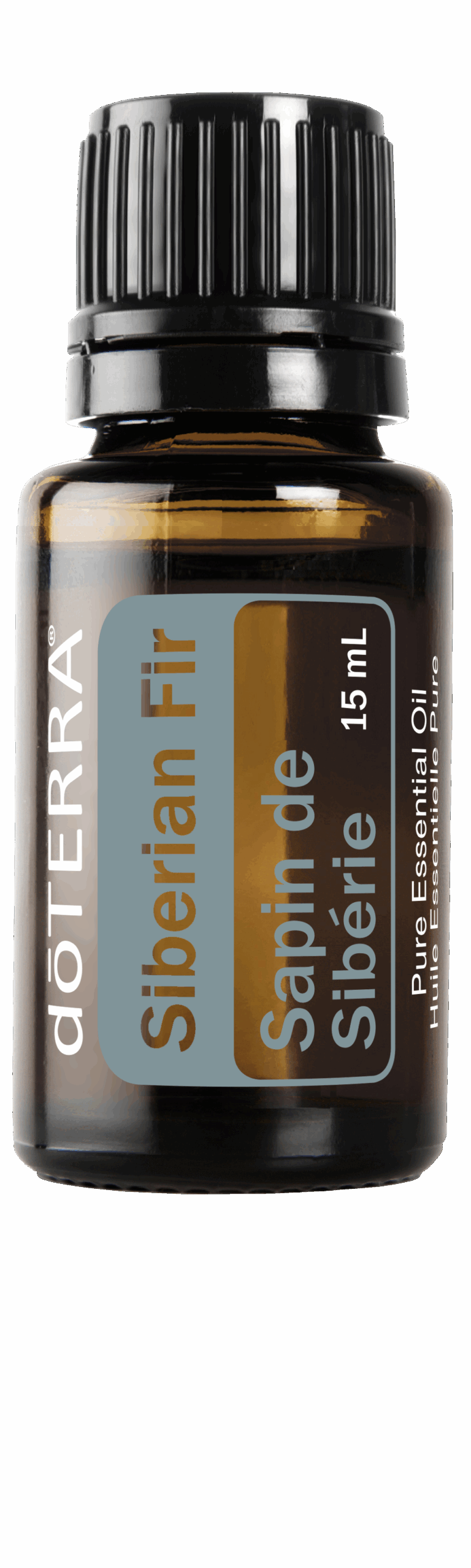 Siberian Fir 15 ml